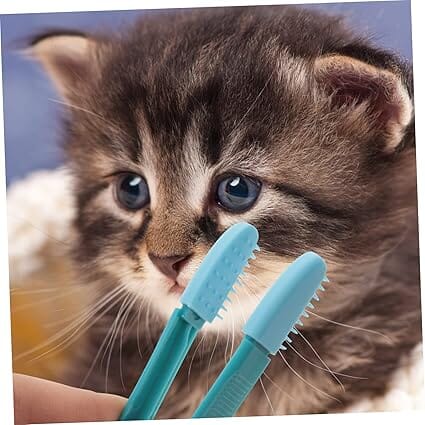 Brosse pour Chat - CatEyeWipe™ - Bleu