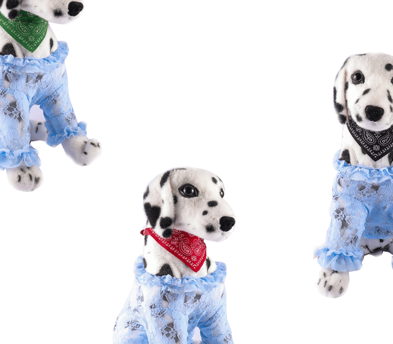 collier pour chat - Bandtiny™