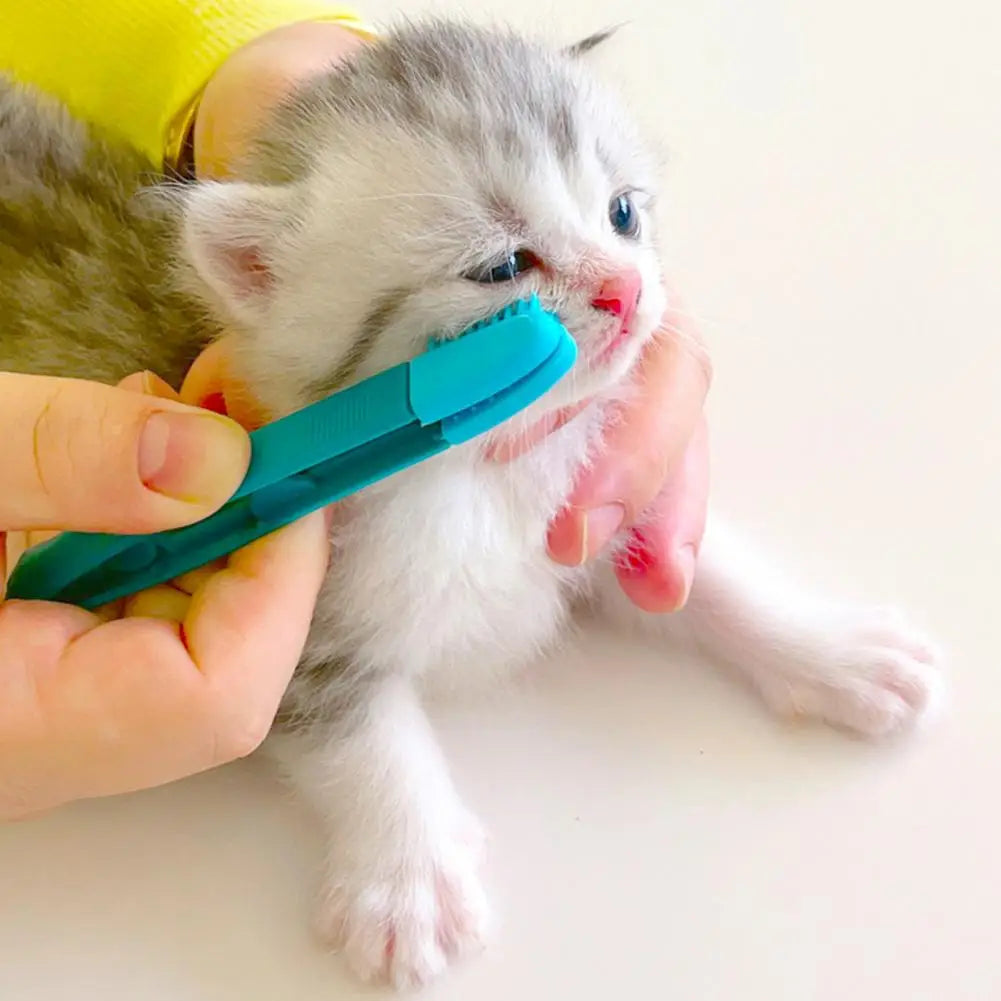 Brosse pour Chat - CatEyeWipe™ - Bleu