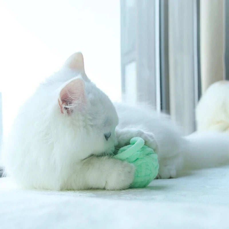jouet pour chat- Frouboule™