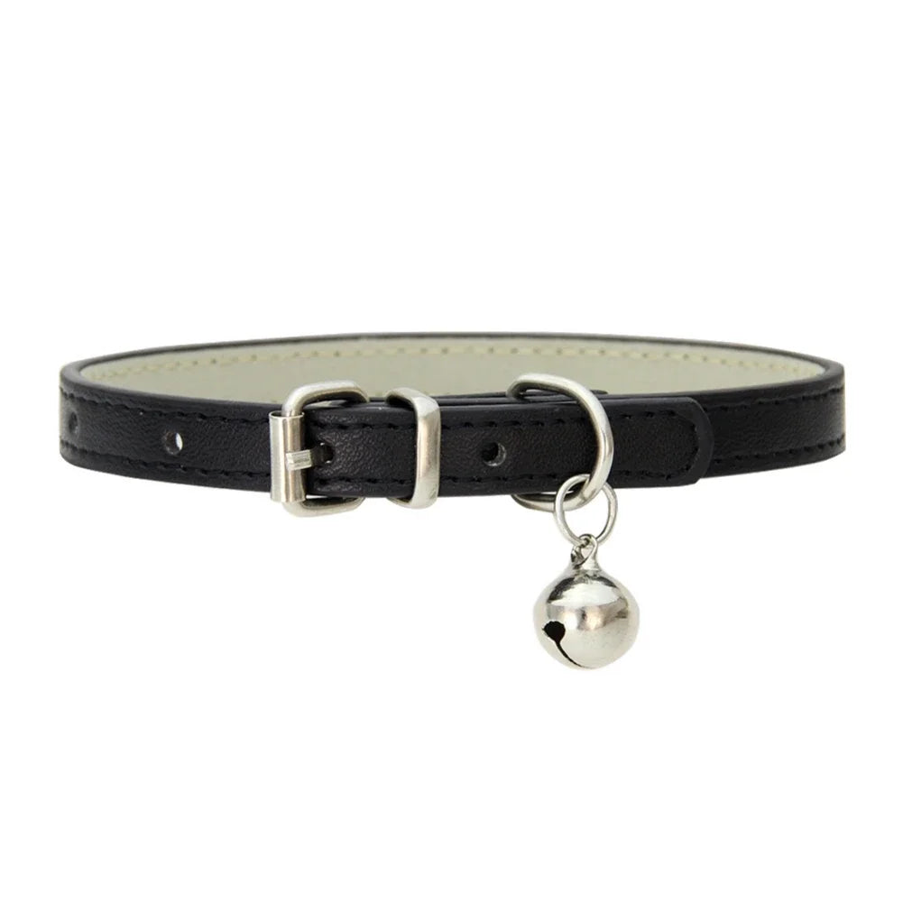 collier pour chat - Colincat™