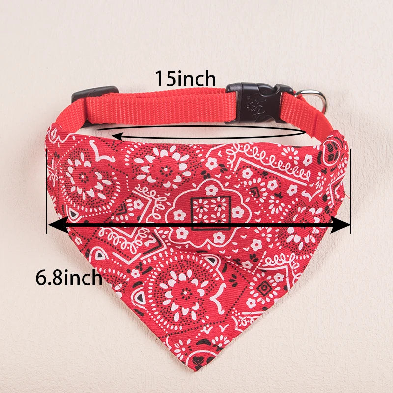 collier pour chat - bandaCATT™