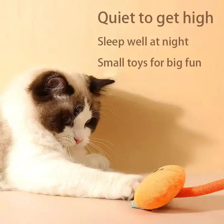 jouet pour chat- plucat™