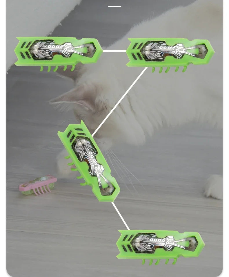 jouet pour chat- buggo™
