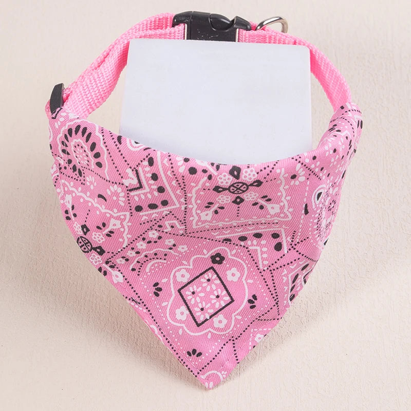 collier pour chat - bandaCATT™