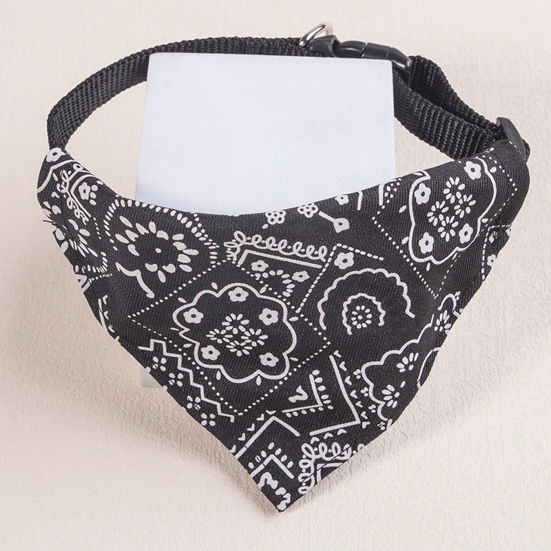 collier pour chat - bandaCATT™