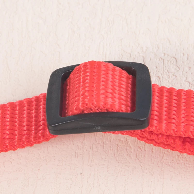 collier pour chat - bandaCATT™
