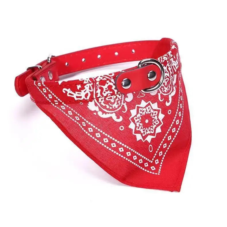 collier pour chat - Bandtiny™