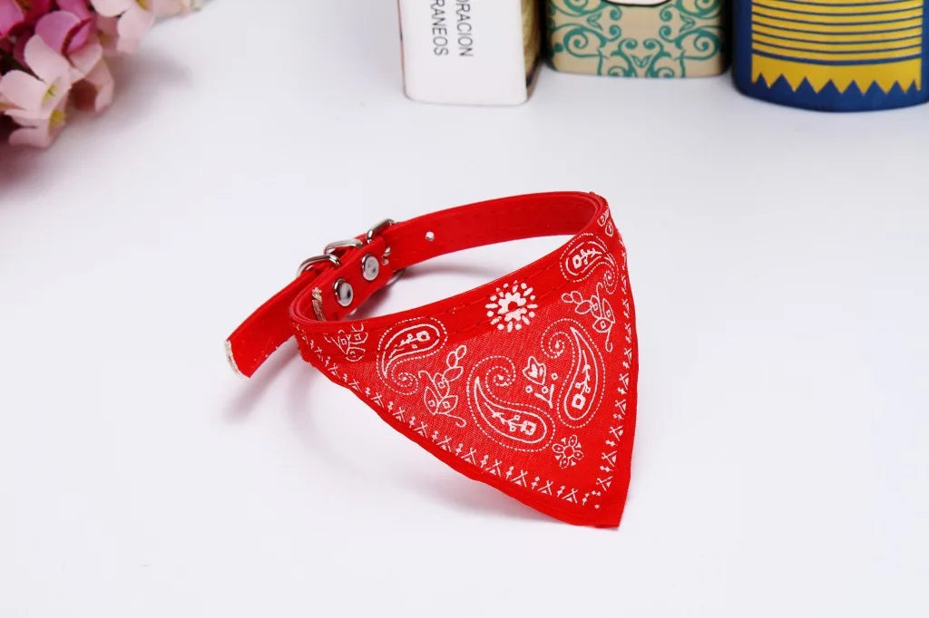 collier pour chat - Bandtiny™