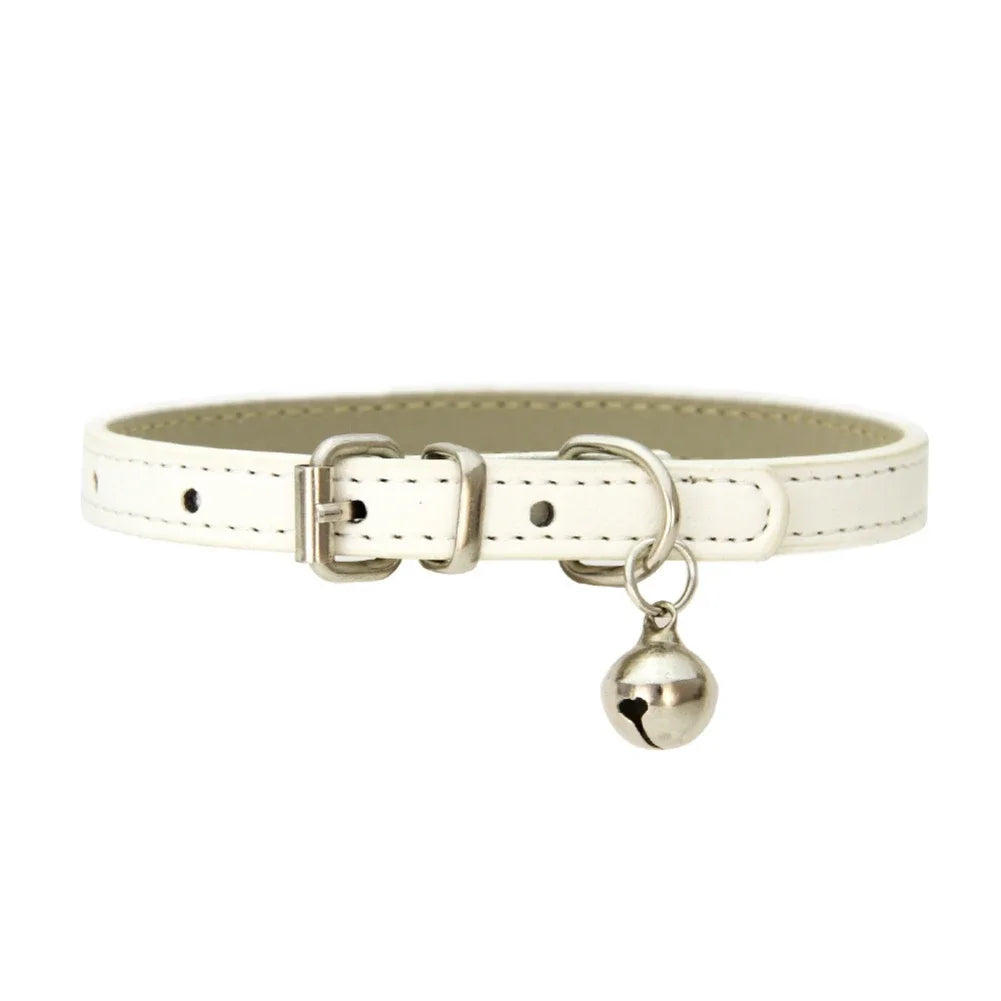 collier pour chat - Colincat™