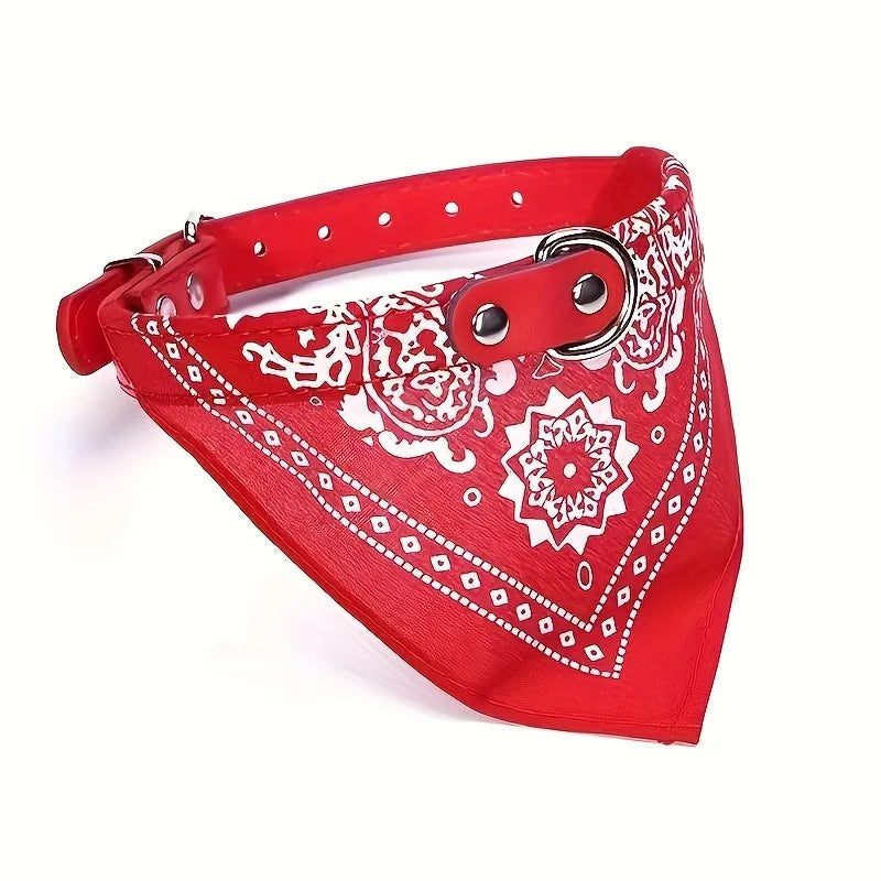 collier pour chat - Bandtiny™
