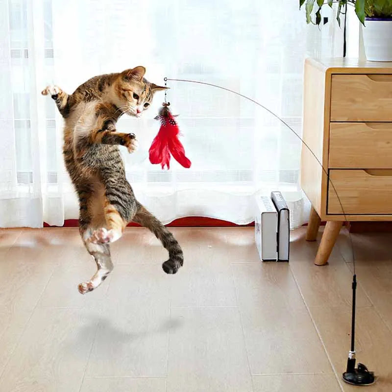 jouet pour chat -plumo™