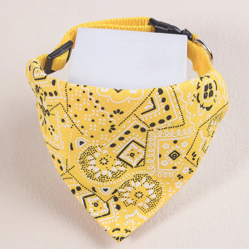 collier pour chat - bandaCATT™