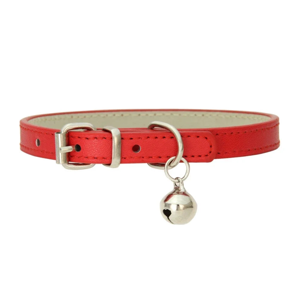 collier pour chat - Colincat™