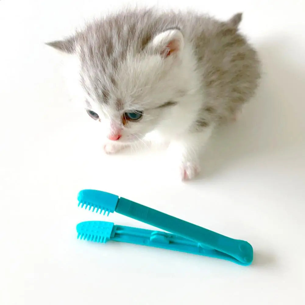 Brosse pour Chat - CatEyeWipe™ - Bleu