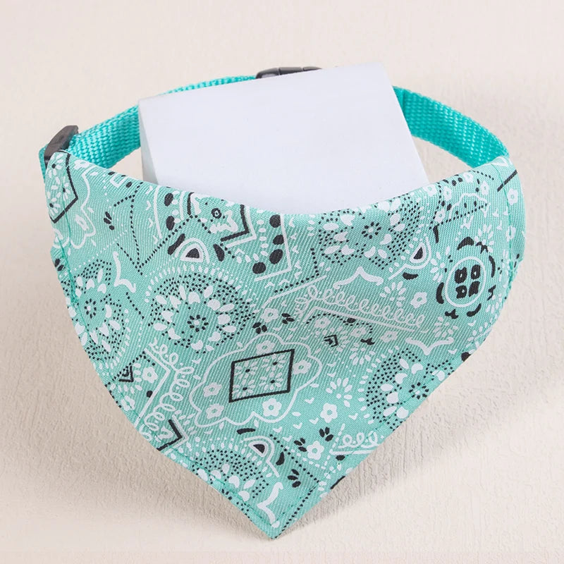 collier pour chat - bandaCATT™
