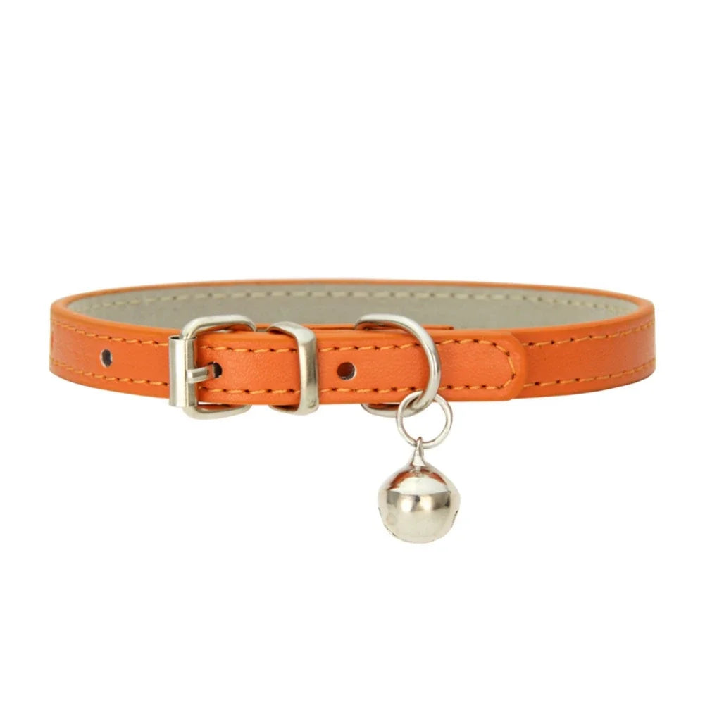 collier pour chat - Colincat™