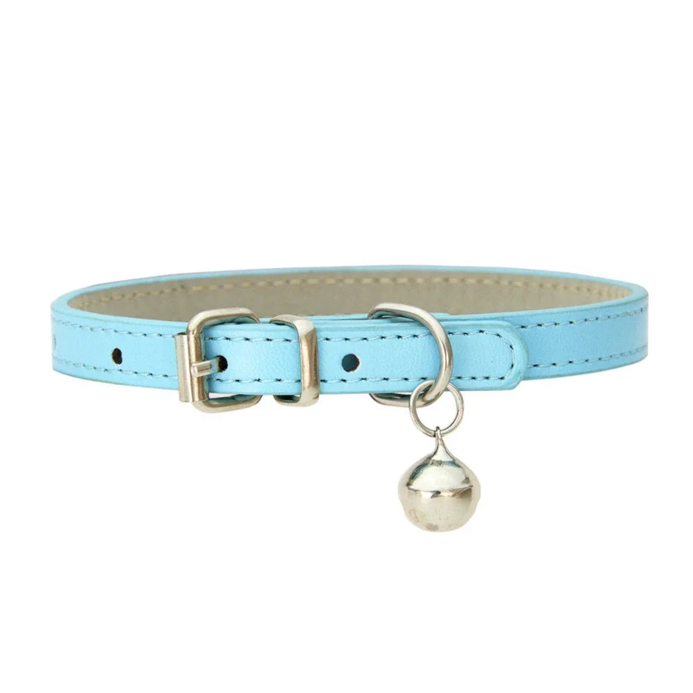 collier pour chat - Colincat™