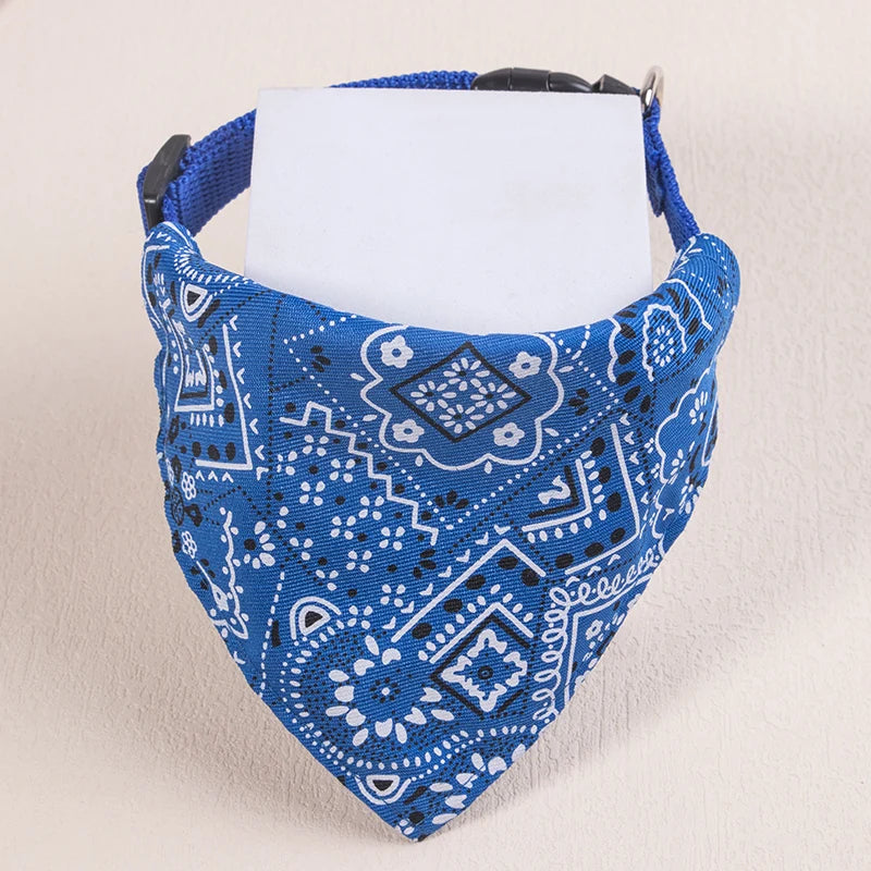 collier pour chat - bandaCATT™