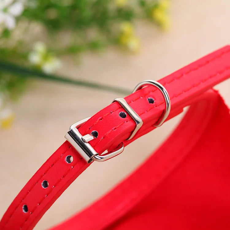 collier pour chat - Bandtiny™