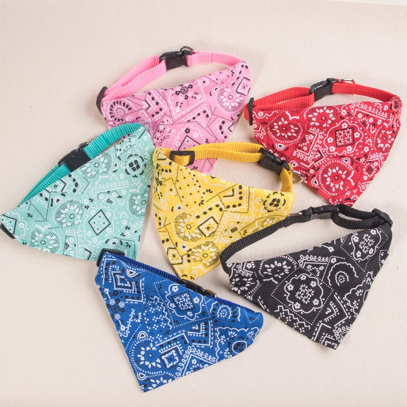 collier pour chat - bandaCATT™