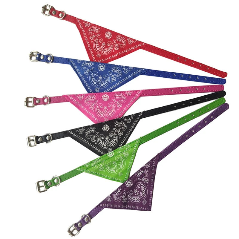collier pour chat - Bandtiny™