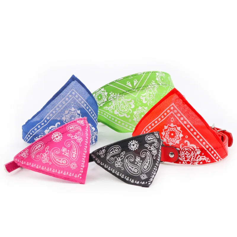collier pour chat - Bandtiny™