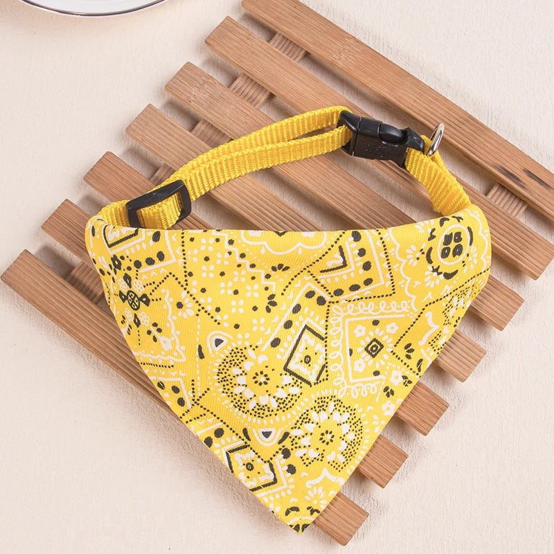 collier pour chat - bandaCATT™
