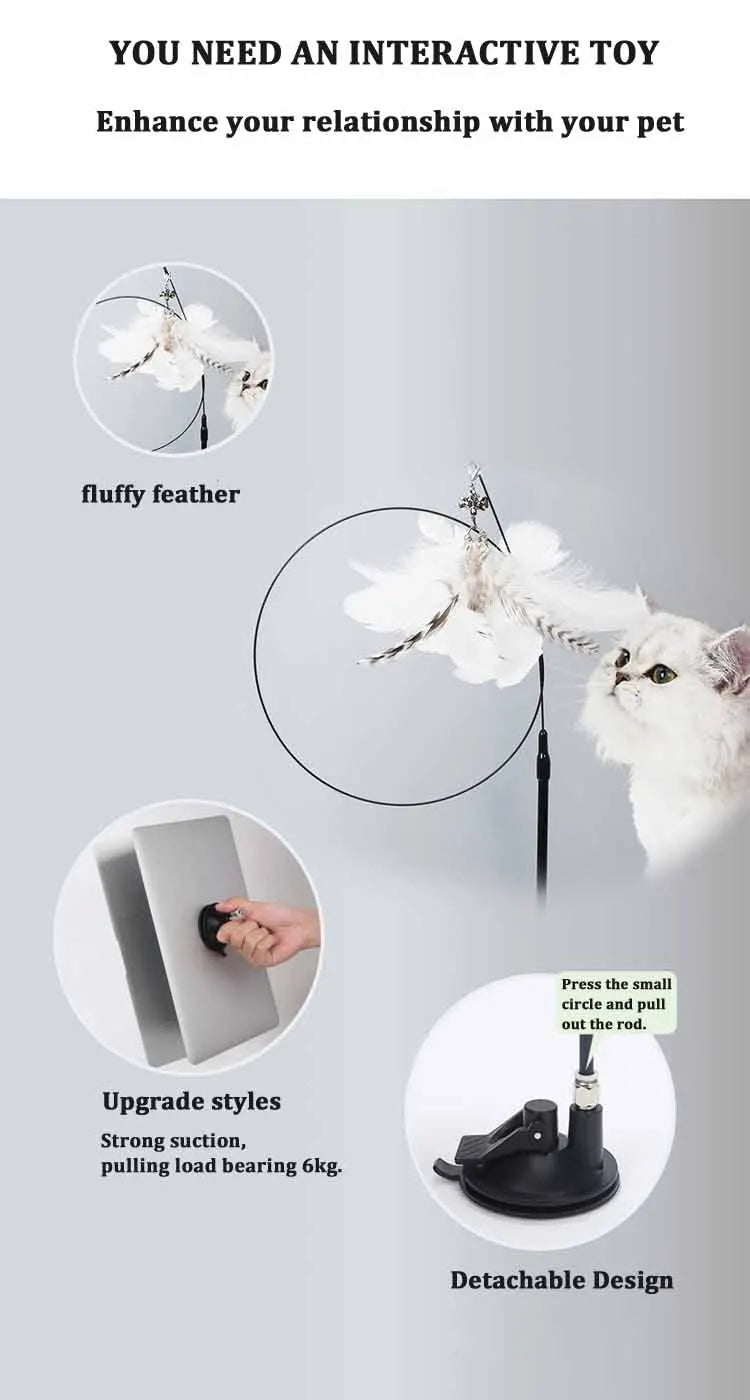 jouet pour chat -plumo™