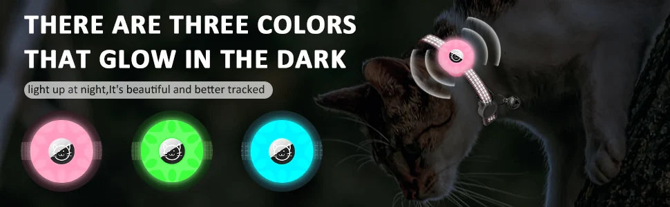 collier pour chat - réGPSi™
