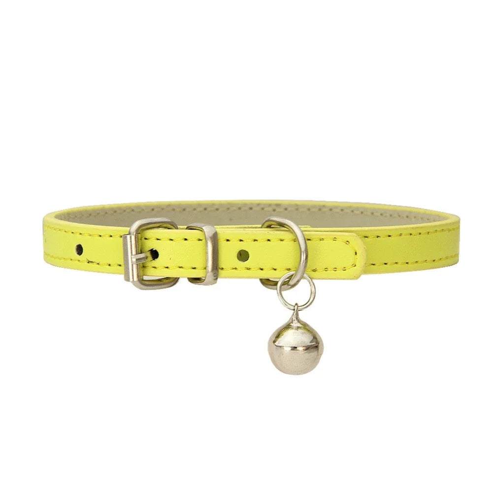 collier pour chat - Colincat™