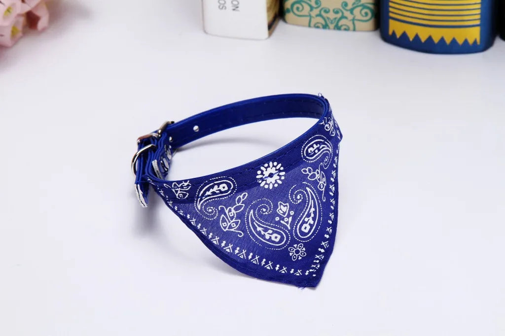 collier pour chat - Bandtiny™