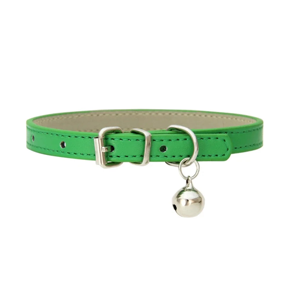 collier pour chat - Colincat™