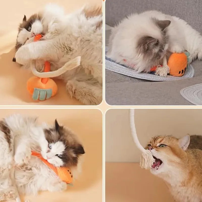 jouet pour chat- plucat™