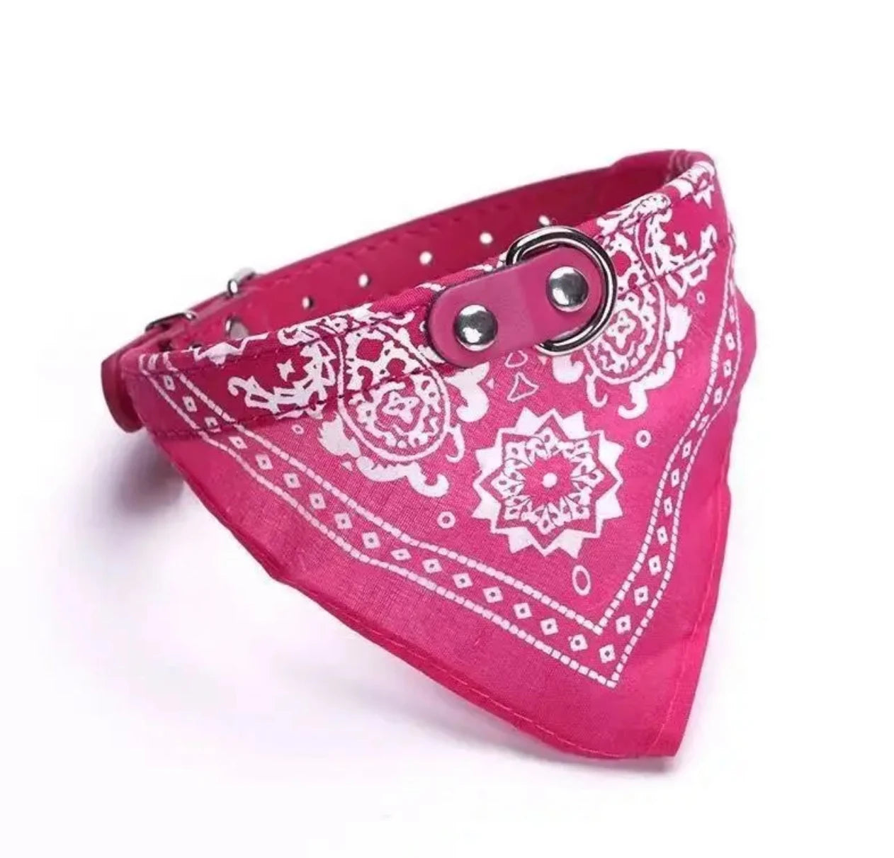 collier pour chat - Bandtiny™