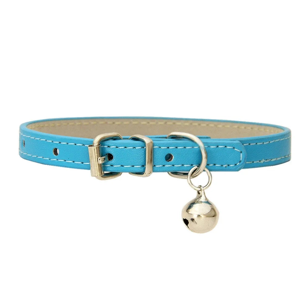 collier pour chat - Colincat™