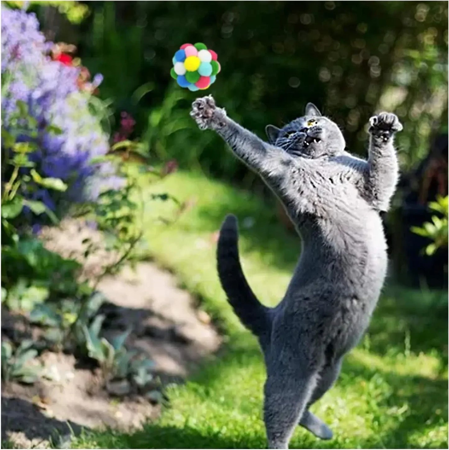 jouet pour chat- pompCat™