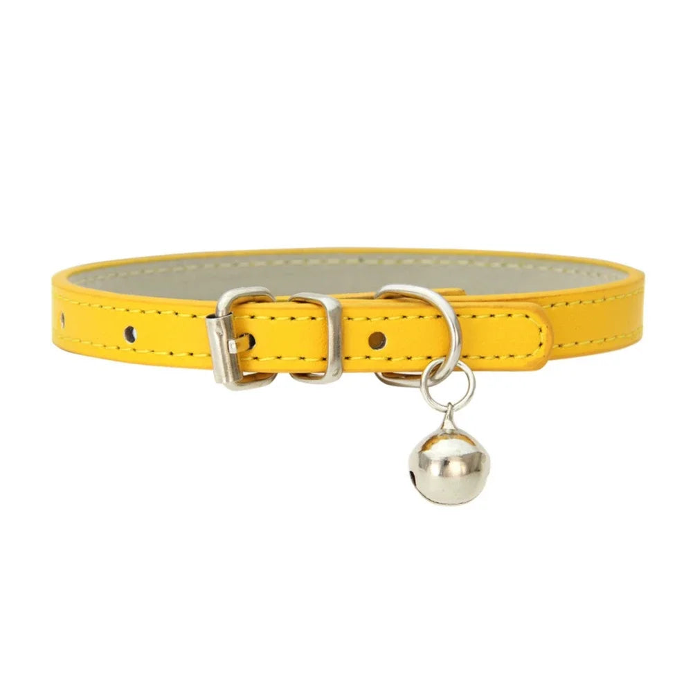 collier pour chat - Colincat™