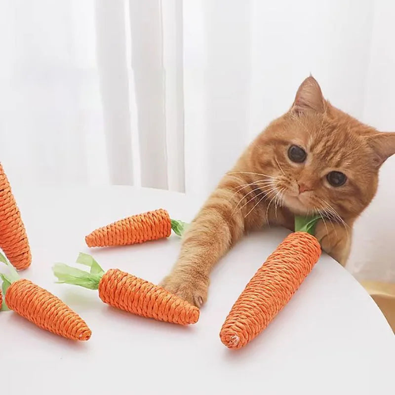 jouet pour chat-LaCawot™