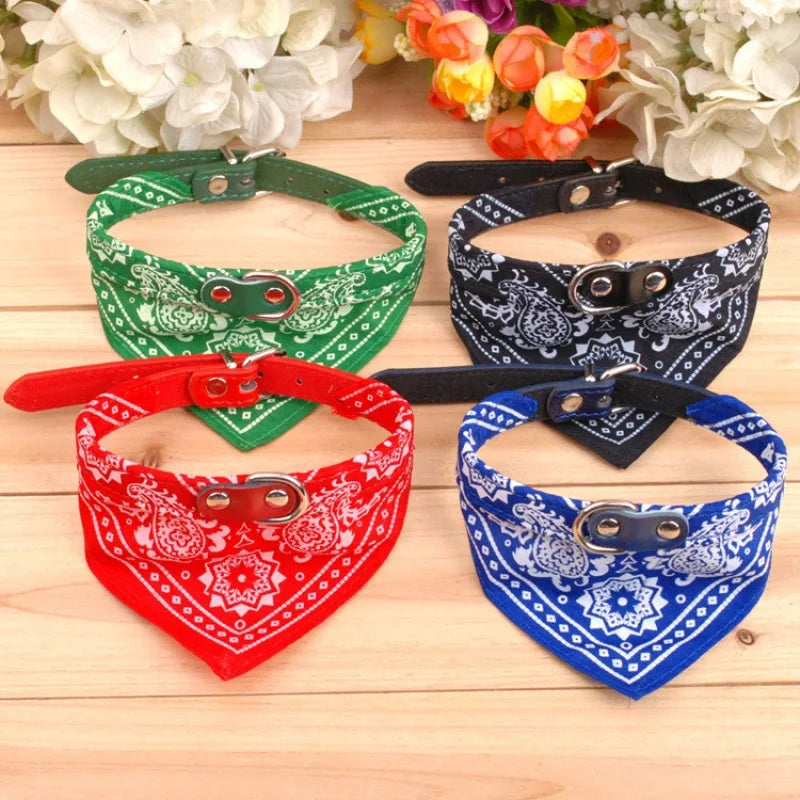 collier pour chat - Bandtiny™