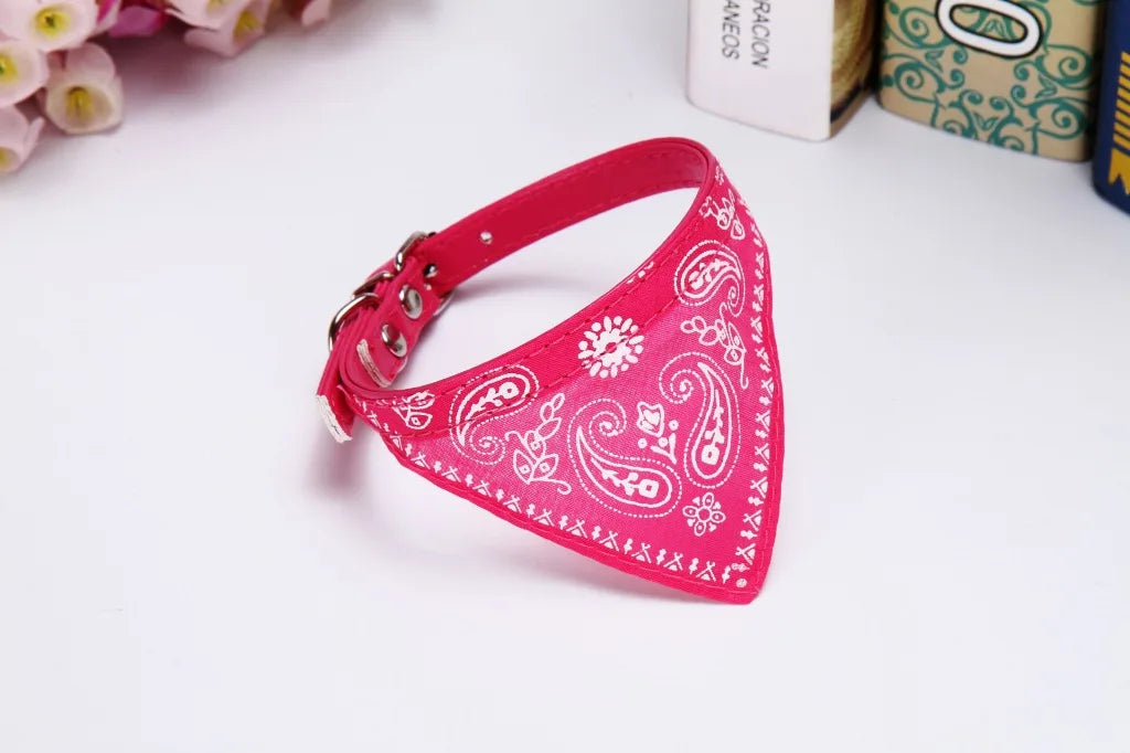 collier pour chat - Bandtiny™
