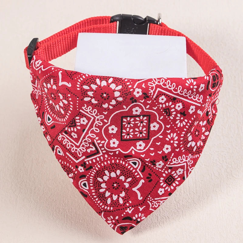 collier pour chat - bandaCATT™