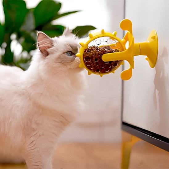 distributeur-de-croquettes-pour-chat-roulette-jouet-jaune-avec-chat-avec-croquettes