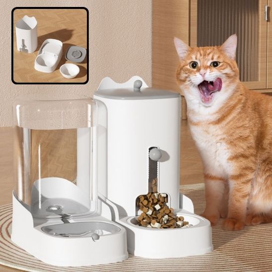 distributeur-de-croquette-distributeur-deau-pour-chat-avec-chaton