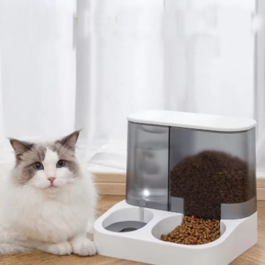 distributeur-de-croquettes-avec-petit-chat-blanch