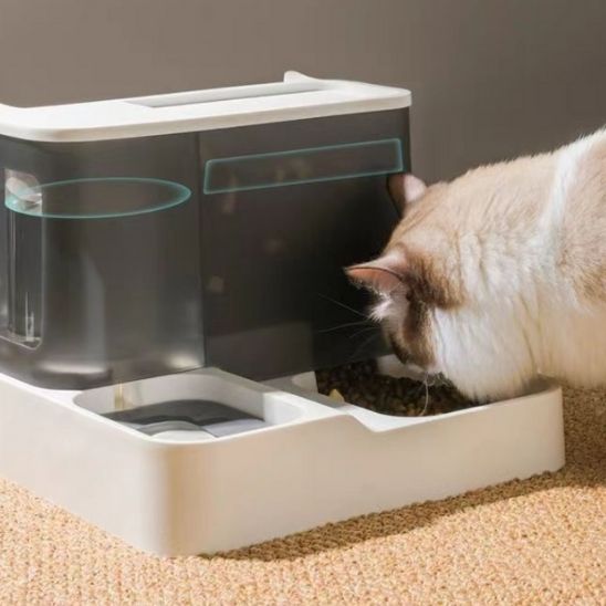 distributeur-de-croquettes-avec-petit-chat-blanch