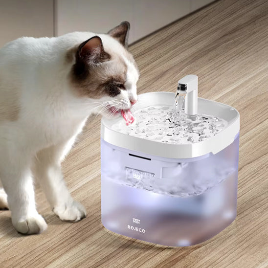 fontainea eau pour chat avec chat blanch et brun