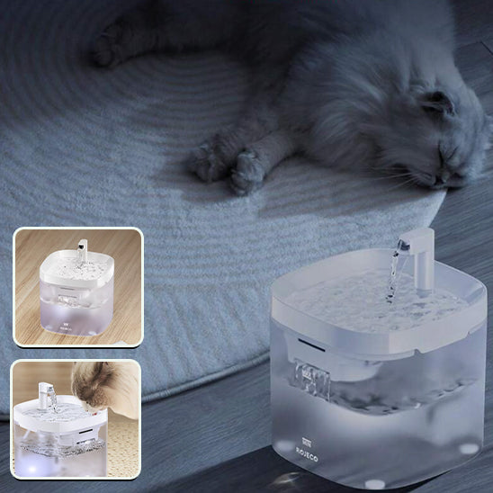 fontaine a eau pour chat avec chat qui dort