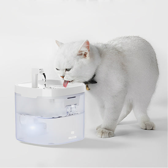 fontaine a eau pour chat avec petit chat blanch
