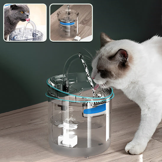 fontaine a eau pour chat avec chat blanch